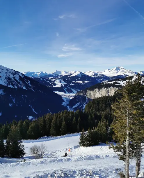 A nice picture of Morzine