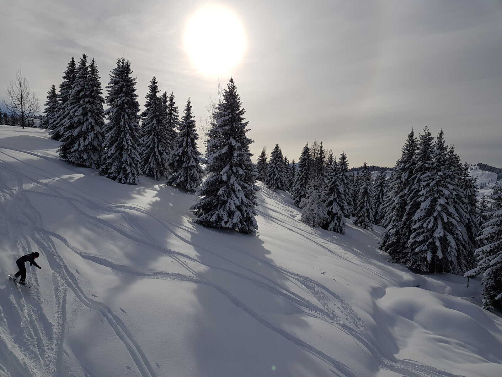 Winter Lift Openings This Weekend