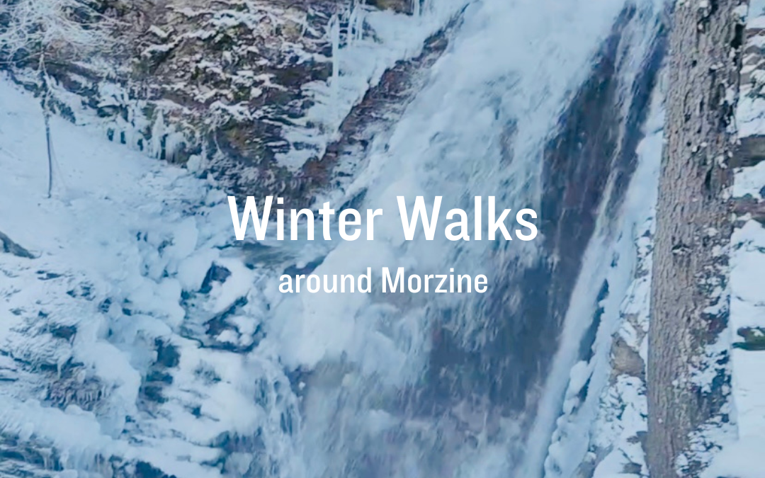 Winter Walks Around Morzine
