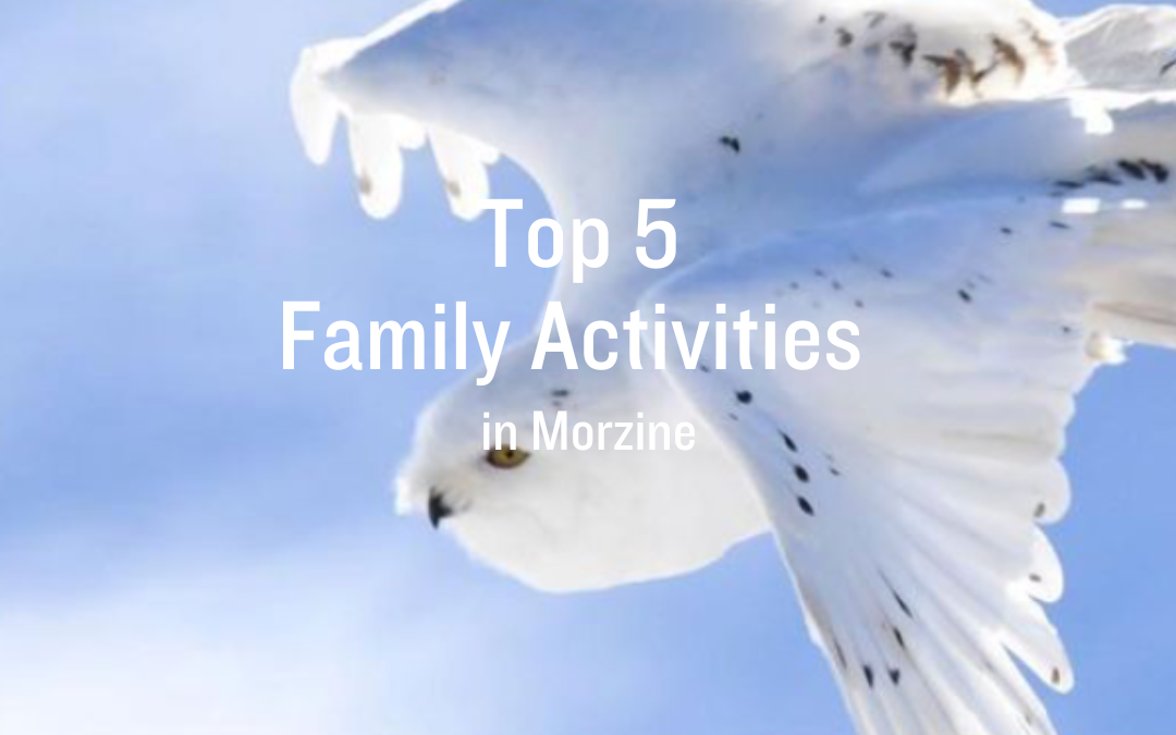 Top 5 Family Activities In & Around Morzine