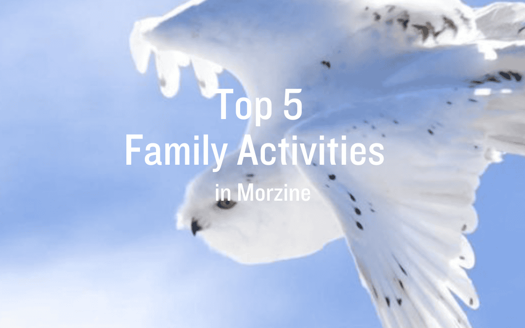 Top 5 Family Activities In & Around Morzine